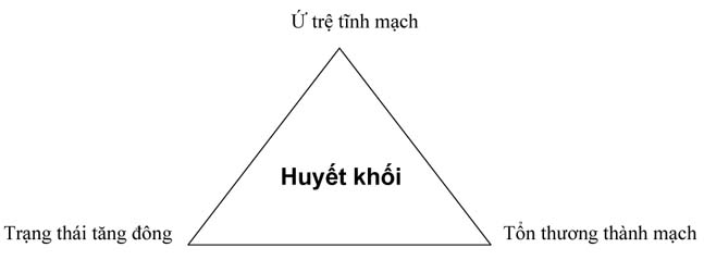 huyet_khoi_tinh_mach-h1