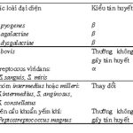 Gram2