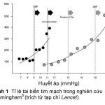 RAS-h1