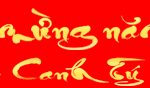 Banner CHUC MUNG NAM MOI