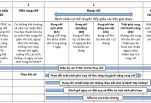 Phác đồ 23 – 2025: Đánh giá và điều trị bệnh nhân rung nhĩ