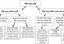 Phác đồ 53 – 2025: Chẩn đoán và điều trị tăng huyết áp