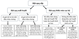 Phác đồ 53 – 2025: Chẩn đoán và điều trị tăng huyết áp