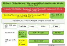 Tóm tắt hướng dẫn năm 2024 của Hội Tim mạch Châu Âu về quản lý rung nhĩ được xây dựng với sự hợp tác của hiệp hội phẫu thuật tim mạch lồng ngực Châu Âu (EACTS) – P8