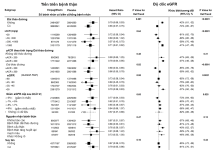 Hiệu quả và an toàn của Empagliflozin trên phổ rộng bệnh thận mạn