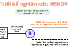 Tóm tắt kết quả nghiên cứu Renove