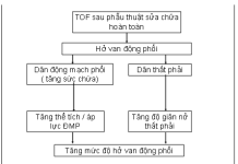 Vai trò cộng hưởng từ tim trong đánh giá tứ chứng fallot sau phẫu thuật: Các khuyến cáo hiện hành