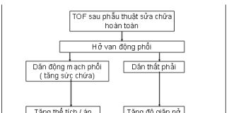 Vai trò cộng hưởng từ tim trong đánh giá tứ chứng fallot sau phẫu thuật: Các khuyến cáo hiện hành
