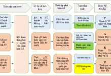Tóm tắt hướng dẫn năm 2024 của Hội Tim mạch Châu Âu về quản lý rung nhĩ được xây dựng với sự hợp tác của hiệp hội phẫu thuật tim mạch lồng ngực Châu Âu (EACTS) – P10
