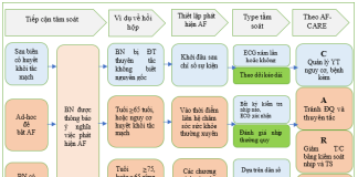 Tóm tắt hướng dẫn năm 2024 của Hội Tim mạch Châu Âu về quản lý rung nhĩ được xây dựng với sự hợp tác của hiệp hội phẫu thuật tim mạch lồng ngực Châu Âu (EACTS) – P10