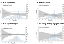 Vai trò của Dapagliflozin trong điều trị bệnh thận mạn trên các phổ bệnh nhân: Kết quả từ một số nghiên cứu