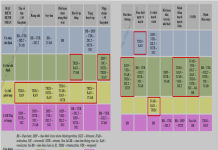 Ranolazine trong điều trị đau thắt ngực mạn: Định vị vai trò tại Việt Nam dưới góc nhìn chuyên gia