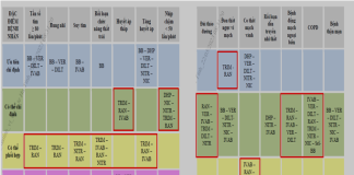 Ranolazine trong điều trị đau thắt ngực mạn: Định vị vai trò tại Việt Nam dưới góc nhìn chuyên gia