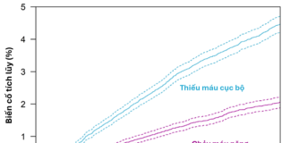 Các chiến lược sử dụng kháng kết tập tiểu cầu bên cạnh chiến lược tiêu chuẩn để tối ưu dự phòng biến cố huyết khối và xuất huyết ở bệnh nhân hội chứng mạch vành cấp trong 12 tháng đầu