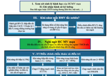 Bản tin tổng hợp – Tháng 10/2025