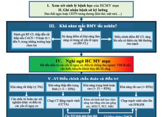 Bản tin tổng hợp – Tháng 10/2025