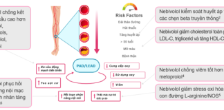Lựa chọn thuốc chẹn Beta nào trên bệnh nhân bệnh động mạch ngoại biên
