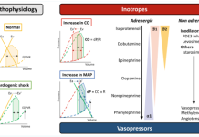 Điều trị nội khoa sốc tim: Sử dụng thuốc vận mạch và tăng co bóp cơ tim trong kỷ nguyên hiện nay