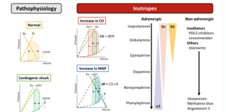 Điều trị nội khoa sốc tim: Sử dụng thuốc vận mạch và tăng co bóp cơ tim trong kỷ nguyên hiện nay