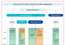 Ngăn ngừa biến cố huyết khối cấp tính ở người có bệnh mạch vành mạn kèm đái tháo đường đã được đặt Stent. Tổng hợp các bằng chứng và khuyến cáo gần đây về điều trị dài hạn thuốc kháng kết tập tiểu cầu