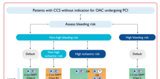 Ngăn ngừa biến cố huyết khối cấp tính ở người có bệnh mạch vành mạn kèm đái tháo đường đã được đặt Stent. Tổng hợp các bằng chứng và khuyến cáo gần đây về điều trị dài hạn thuốc kháng kết tập tiểu cầu