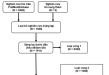 Một nghiên cứu tổng quan hệ thống về bệnh thận mạn – tỷ lệ mắc, tỷ suất tử vong trên thế giới và tại Việt Nam