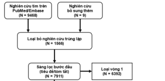 Một nghiên cứu tổng quan hệ thống về bệnh thận mạn – tỷ lệ mắc, tỷ suất tử vong trên thế giới và tại Việt Nam