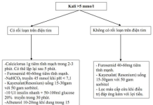 Quản lý tăng Kali máu trên bệnh nhân tim mạch – Thận và vai trò của tối ưu hóa các liệu pháp điều trị nền tảng