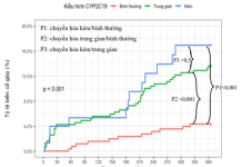 Liên quan giữa kiểu Gene giảm chức năng Cyp2c19 *2 , *3 và biến cố tim mạch chính ở bệnh nhân được can thiệp đặt stent động mạch vành có điều trị Clopidogrel