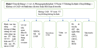 Tóm tắt tiêu chuẩn sử dụng phù hợp cấy máy khử rung tim, điều trị tái đồng bộ tim và tạo nhịp của Acc/Aha/Ase/Hfsa/Hrs/Scai/Scct/Scmr (năm 2025) – P2
