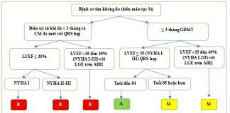 Tóm tắt tiêu chuẩn sử dụng phù hợp cấy máy khử rung tim, điều trị tái đồng bộ tim và tạo nhịp của Acc/Aha/Ase/Hfsa/Hrs/Scai/Scct/Scmr (năm 2025) – P3