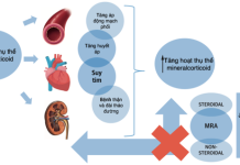 Bệnh lý tim mạch liên quan với Aldosterone và vai trò của đối vận thụ thể Aldosterone trong thực hành lâm sàng