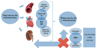 Bệnh lý tim mạch liên quan với Aldosterone và vai trò của đối vận thụ thể Aldosterone trong thực hành lâm sàng