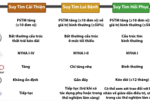 Cập nhật suy tim phân suất tống máu cải thiện