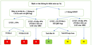 Tóm tắt tiêu chuẩn sử dụng phù hợp cấy máy khử rung tim, điều trị tái đồng bộ tim và tạo nhịp của Acc/Aha/Ase/Hfsa/Hrs/Scai/Scct/Scmr (năm 2025) – P4