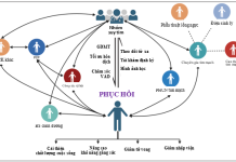 Hồi phục cơ tim trong bối cảnh toàn thân: Một sự chuyển dịch mang tính triết lý đối với chuyên ngành suy tim nhằm tối ưu hóa chăm sóc người bệnh