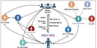 Hồi phục cơ tim trong bối cảnh toàn thân: Một sự chuyển dịch mang tính triết lý đối với chuyên ngành suy tim nhằm tối ưu hóa chăm sóc người bệnh