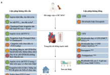 Bản tin tổng hợp – Tháng 02/2026