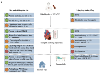 Bản tin tổng hợp – Tháng 02/2026