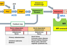 Các liệu pháp nhắm Aldosterone trong điều trị tăng huyết áp: Cập nhật thực hành lâm sàng và triển vọng tương lai