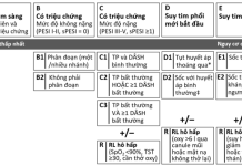 Có gì mới trong trong hướng dẫn 2026 của Aha/Acc về đánh giá và xử trí thuyên tắc phổi cấp?
