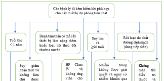 Tóm tắt tiêu chuẩn sử dụng phù hợp cấy máy khử rung tim, điều trị tái đồng bộ tim và tạo nhịp của Acc/Aha/Ase/Hfsa/Hrs/Scai/Scct/Scmr (năm 2025) – P5