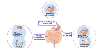 Tối ưu hóa liệu pháp chống huyết khối trên bệnh nhân đồng thời mắc bệnh tim mạch và đường tiêu hóa