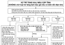 Cập nhật một số dữ liệu và khuyến cáo mới trong quản lý tăng kali máu cấp cứu