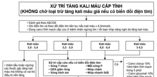 Cập nhật một số dữ liệu và khuyến cáo mới trong quản lý tăng kali máu cấp cứu
