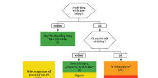 Chiến lược quản lý rung nhĩ liên quan đến yếu tố stress (Strategy of Management of Stressor-Associated Atrial Fibrillation)