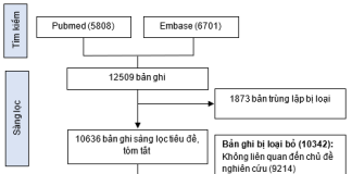 Tổng quan hệ thống về chi phí y tế trực tiếp trong điều trị bệnh thận mạn (Systematic review of direct medical costs in the treatment of chronic kidney disease)
