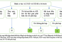 Tóm tắt tiêu chuẩn sử dụng phù hợp cấy máy khử rung tim, điều trị tái đồng bộ tim và tạo nhịp của Acc/Aha/Ase/Hfsa/Hrs/Scai/Scct/Scmr (năm 2025) – P8
