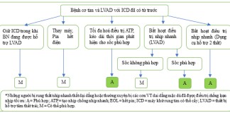 Tóm tắt tiêu chuẩn sử dụng phù hợp cấy máy khử rung tim, điều trị tái đồng bộ tim và tạo nhịp của Acc/Aha/Ase/Hfsa/Hrs/Scai/Scct/Scmr (năm 2025) – P8