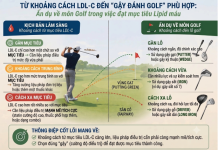 Khoảng cách từ mức Ldl-C hiện tại đến Ldl-C mục tiêu: Một công cụ thực tiễn hỗ trợ quyết định chiến lược điều trị hạ lipid máu